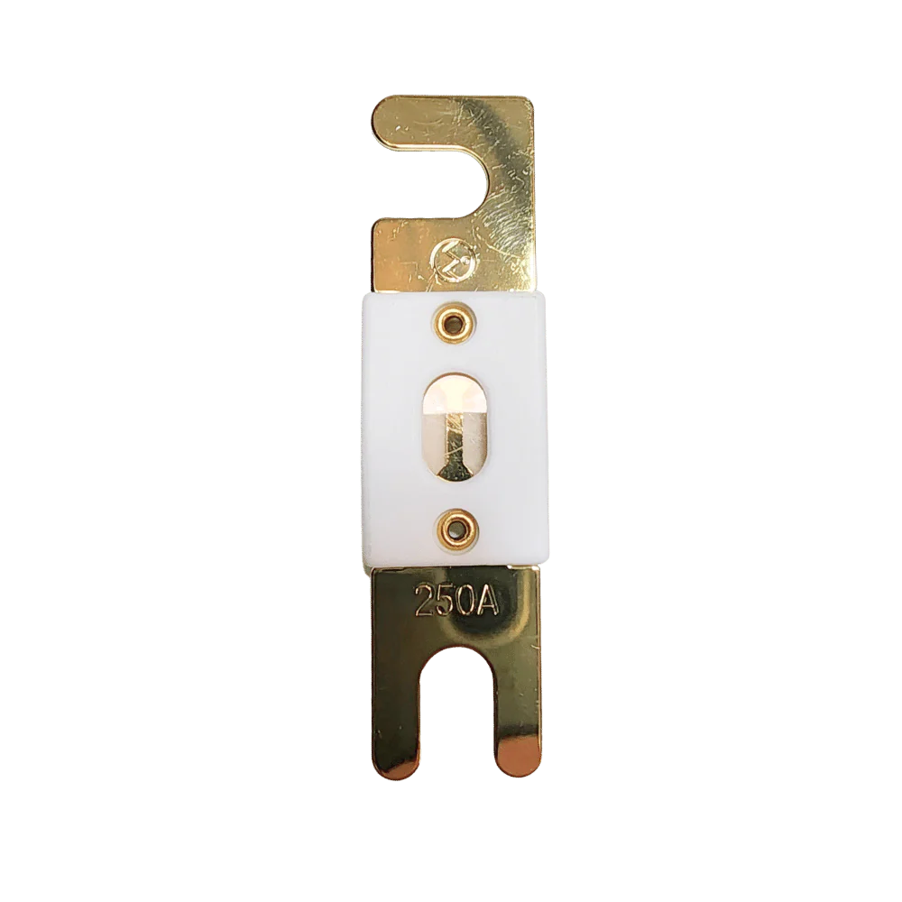 Fuse 250A 00001065