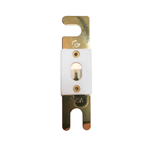 Fuse 250A 00001065